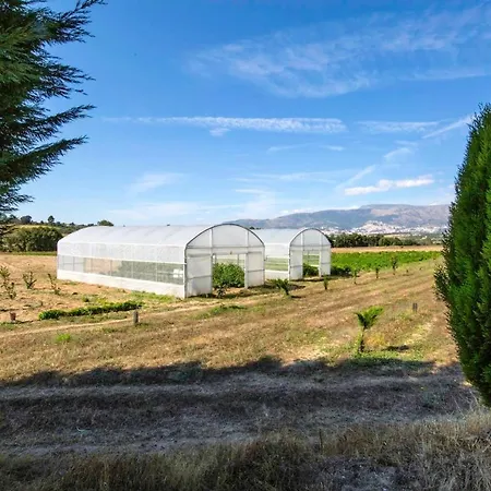 With 6 Bedrooms In Peraboa With Wonderful Mountain View Private Pool Furnished Garden Βίλα Pera Boa